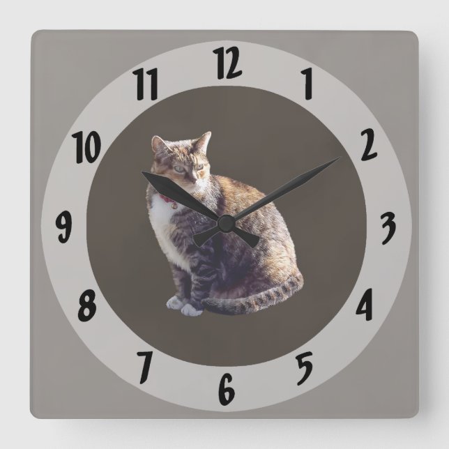 Tortoiseshell Cat Square Wall Clock (Front)