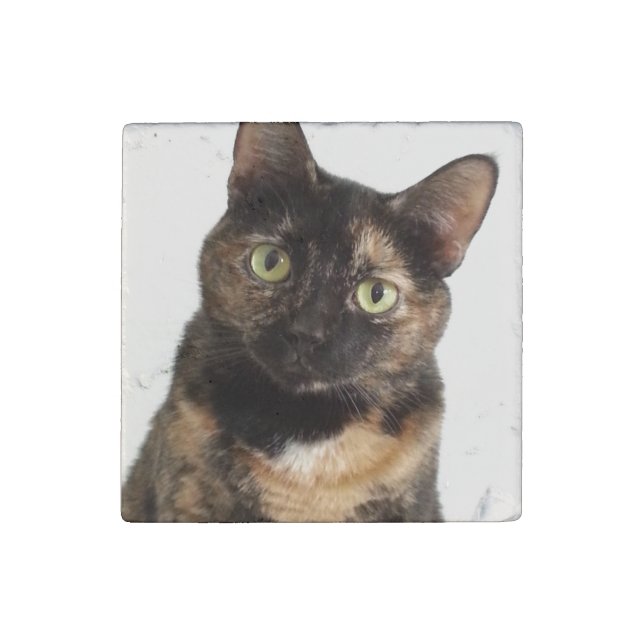 Tortoiseshell Cat Stone Magnet (Front)