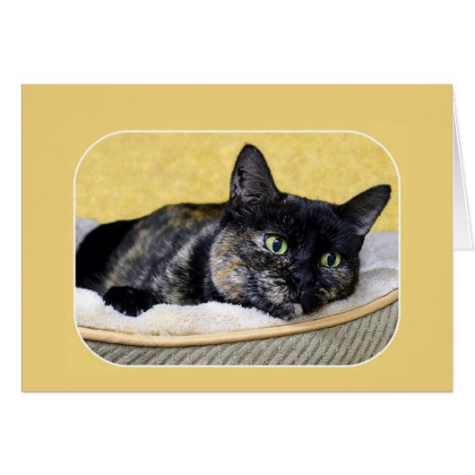 Tortoiseshell Cat Thinking Cards (Front Horizontal)