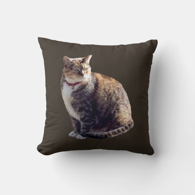 Tortoiseshell Cat Throw Pillow (Front)
