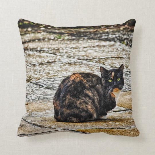 cat throw pillow