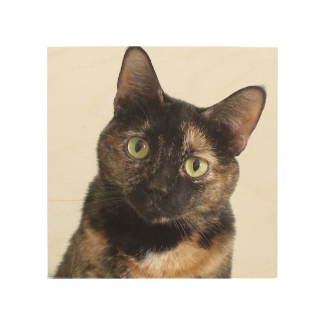 Tortoiseshell Cat Wood Wall Art (Front)