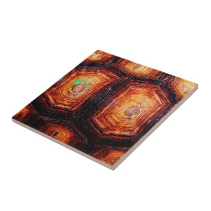 Tortoiseshell Ceramic Tile