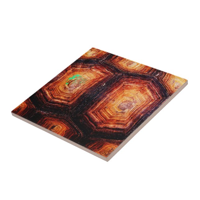 Tortoiseshell Ceramic Tile (Side)