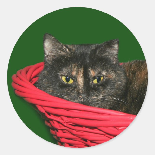 Tortoiseshell Christmas Classic Round Sticker (Front)