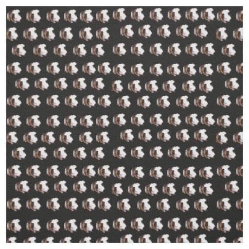 Tortoiseshell Guinea Pigs, Cotton Material Fabric