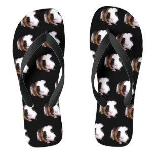 Tortoiseshell Guinea Pigs, Flip Flops
