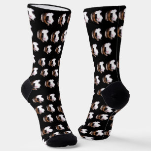 Tortoiseshell Guinea Pigs, Socks
