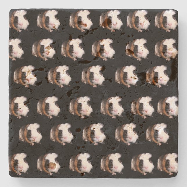 Tortoiseshell Guinea Pigs, Stone Coaster (Front)