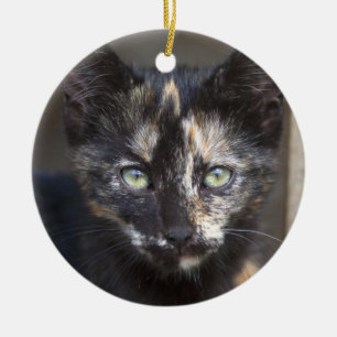 Tortoiseshell Kitten Ceramic Ornament