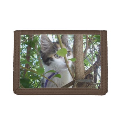 Tortoiseshell Kitten In The Tree Tops, Tri-fold Wallet