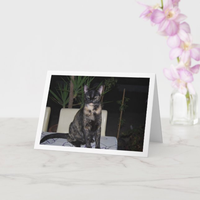 Tortoiseshell Kitten on Table Card (Orchid)