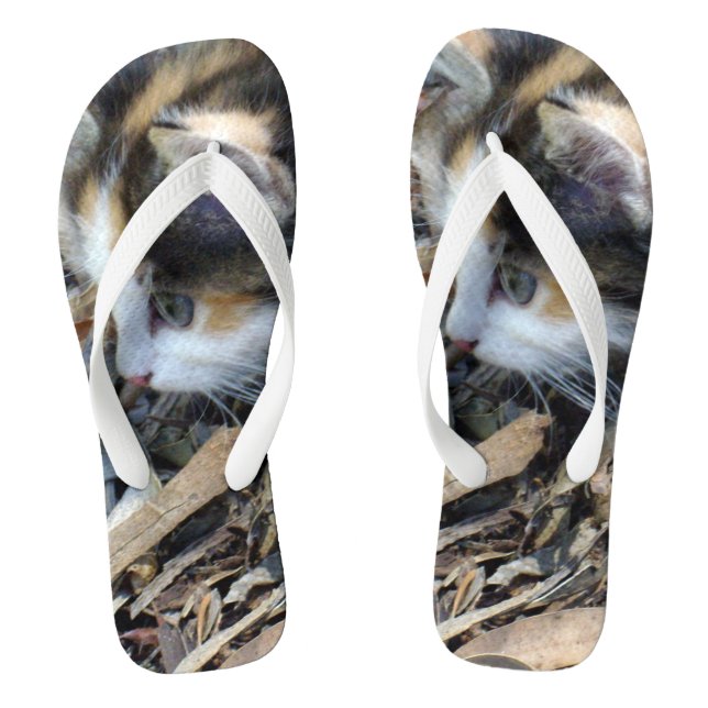 Tortoiseshell Kitten Watching Bugs, Flip Flops (Footbed)