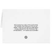Tortoiseshell Kitties Cards (Back Horizontal)