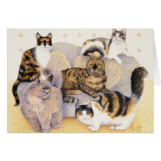 Tortoiseshell ladies cards (Front Horizontal)