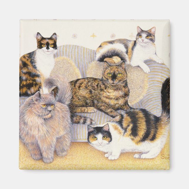 Tortoiseshell ladies magnet (Front)