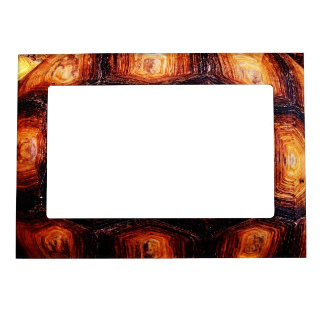 Tortoiseshell Magnetic Picture Frame (Front)