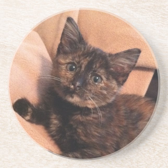 Tortoiseshell, Tortie, Tortie Kitten, Kitten, Cat, Sandstone Coaster (Front)