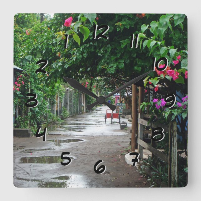 Tortuguero Costa Rica after Rain Backward Clock (Front)