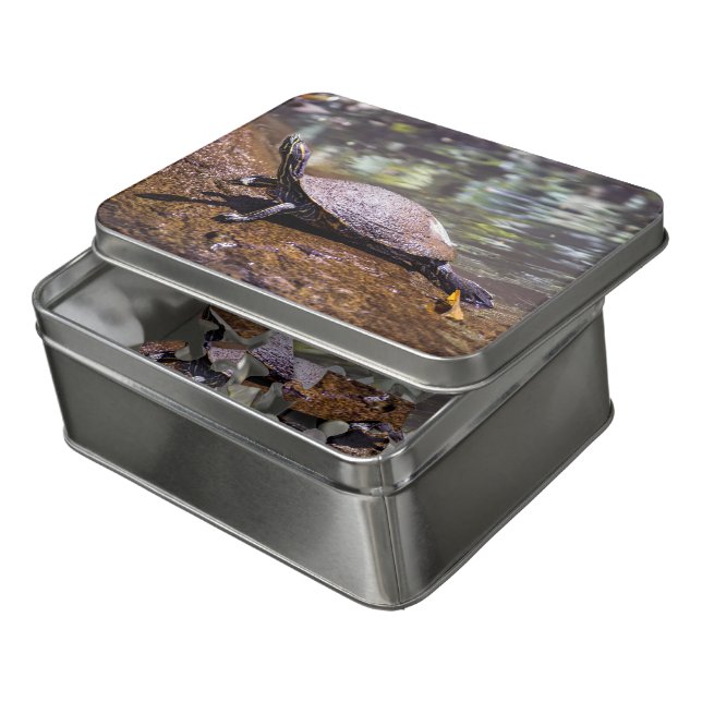 Tortuguero - Yellow-bellied slider Turtle Jigsaw Puzzle (Lid Open)