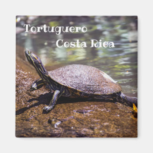 Tortuguero - Yellow-bellied slider Turtle Magnet