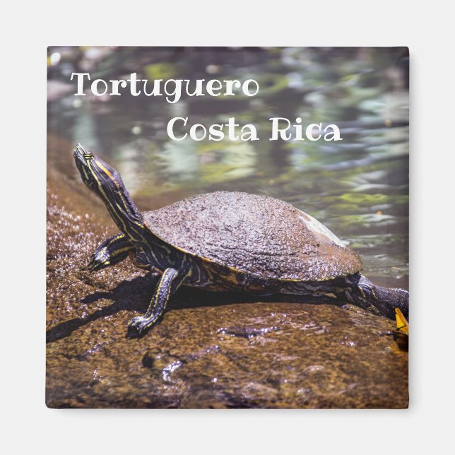 Tortuguero - Yellow-bellied slider Turtle Magnet (Front)