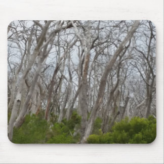 Tortured Trees Mouse Pad