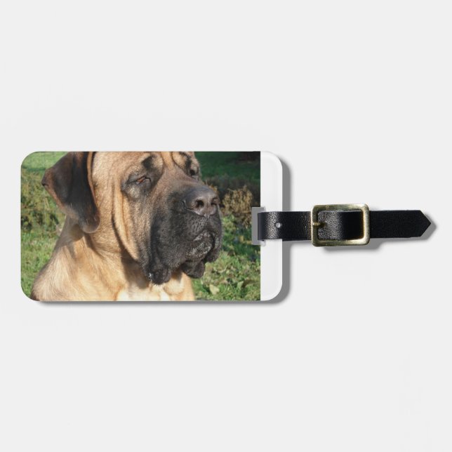 tosa.png luggage tag (Front Horizontal)