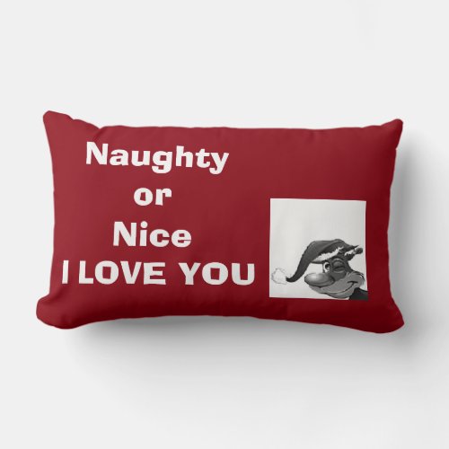 TOSS PILLOW FOR THE NAUGHTYNICE IN YOUR LIFE