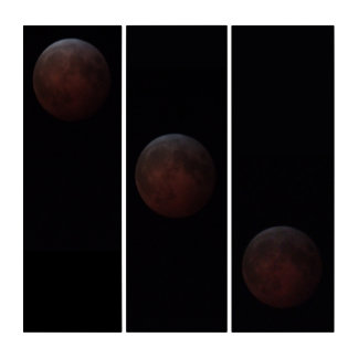 Total Lunar Eclipse Triptych