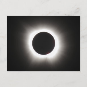 Total Solar Eclipse Postcard