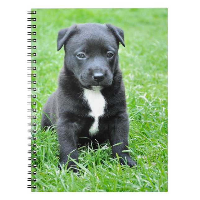 Totally Adorable Puppy Notebook (Front)