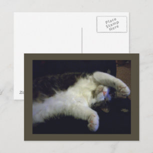 Totally Chillin' Postcard