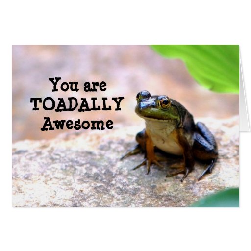 Totally (toadally) awesome card | Zazzle