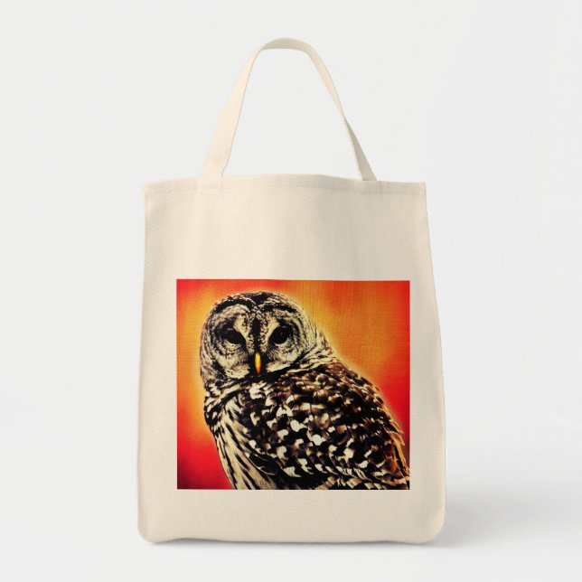 Tote/Grocery Bag -Bold Owl Design (Front)