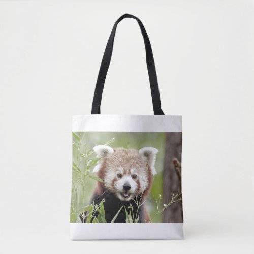 Tote Photo red panda Tote Bag