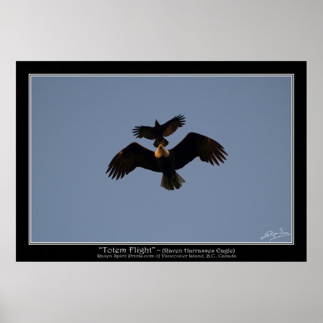 TOTEM FLIGHT ~ Photo Poster (Front)