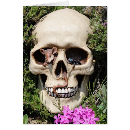 Totenkopf - Gothic / Map (Front)