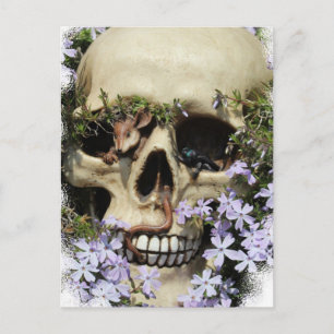Totenkopf / Gothic / Postcard