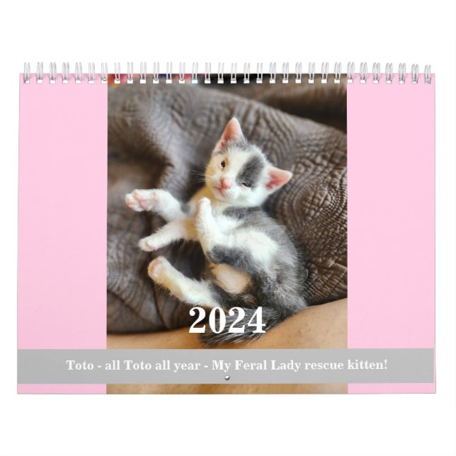 Toto Kitten (My Feral Lady rescue) 2024 Calendar (Cover)