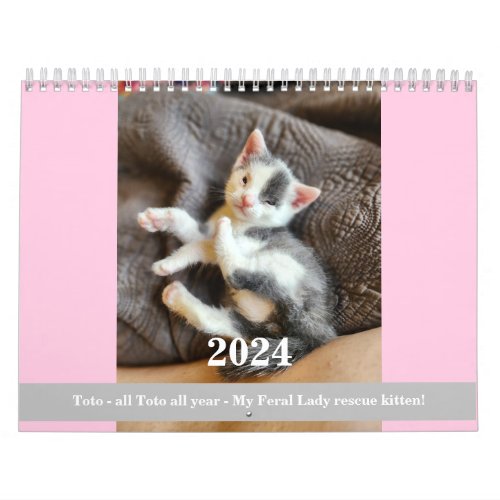 Toto Kitten My Feral Lady rescue 2024 Calendar