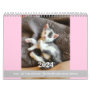Toto Kitten (My Feral Lady rescue) 2024 Calendar
