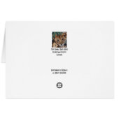 Toto Simbas (Baby Lions) Cards (Back Horizontal)