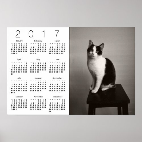 TOTO The Cat Calendar Poster 2017