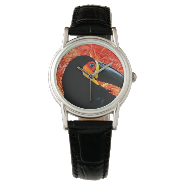 Toucan 3 Watch & Numeral Options (Front)