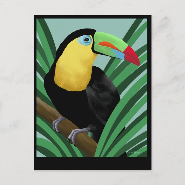 Toucan Art Postcards (Front)