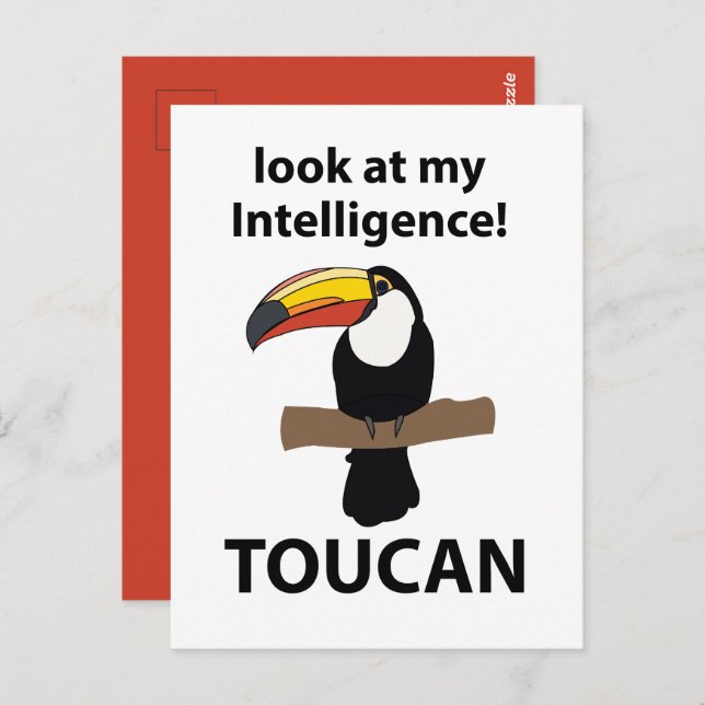 Toucan Bird Tropical Funny Postcard (Front/Back)