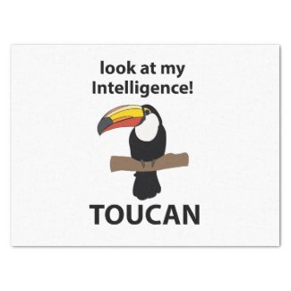 Toucan Bird Tropical Funny