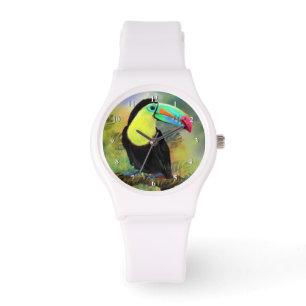 Toucan Bird Watch Toco