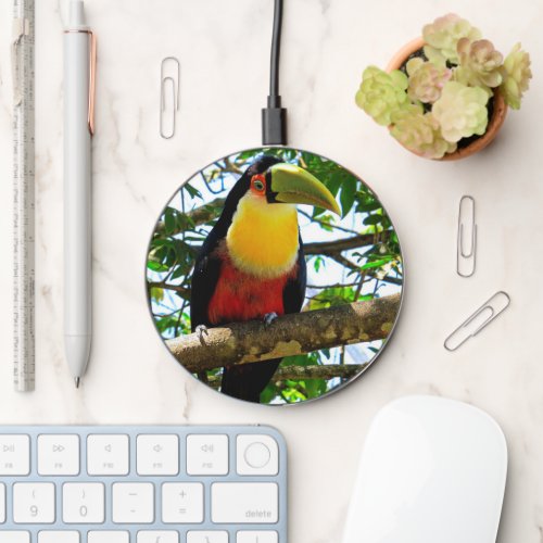Toucan Bird Wireless Charger
